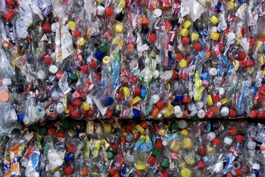 Plastic bottles are one of the biggest sources of waste and prove difficult to recycle.