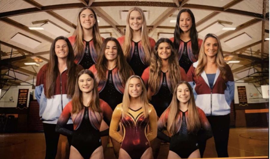 The Walsh gymnastics team. From top row left: Lexi Brown (2023), Macy Clough (2023), Ellie Moore (2025). Middle row from left: Casey Laidman (assistant coach), Sofie Piro (2025), Mady Wolfe (2024), Megan Mertz (head coach). Bottom row from left: Lilly Parker (2023), Leah Sherman (2022), Bella Allen (2025).