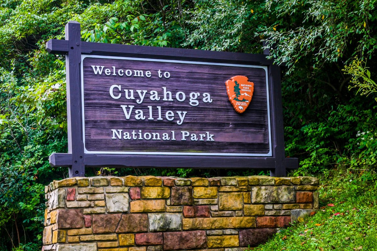 The festivities, which the park continues throughout 2025, are a great way to celebrate this local treasure.