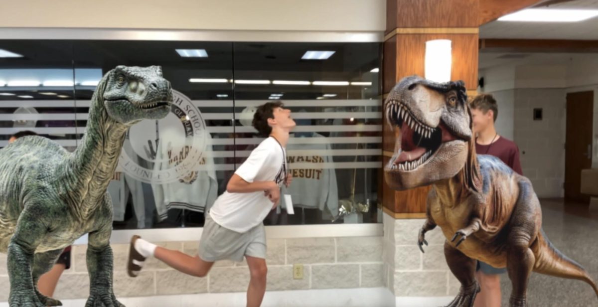Campers in the Hall: What's your favorite animal?