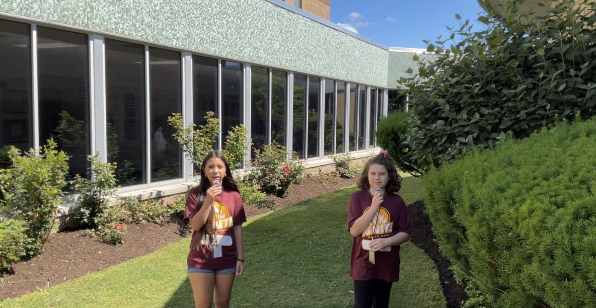 Campers in the Hall: If you could be any celebrity?
